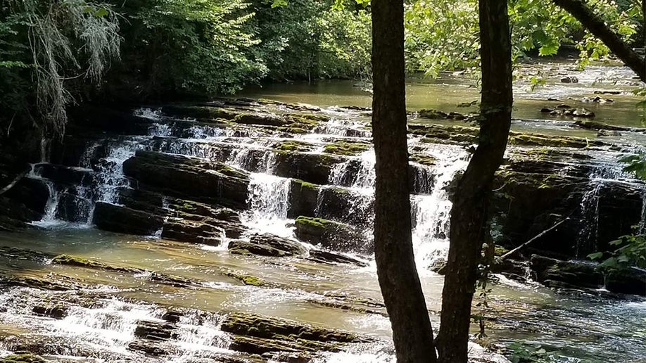View of Friendly Falls through the trees near Gatlinburg, Tennessee, USA