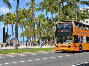 Trolley Waikiki - 2023 Ultimate Guide to Discount Tickets & Reviews