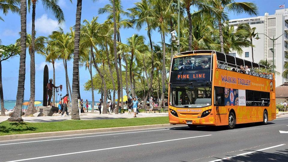 How to Get Around Oahu Without a Car InDepth Guide