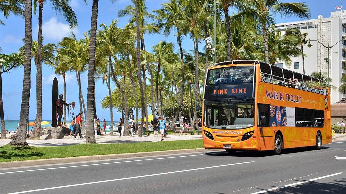 How to Get Around Oahu Without a Car InDepth Guide