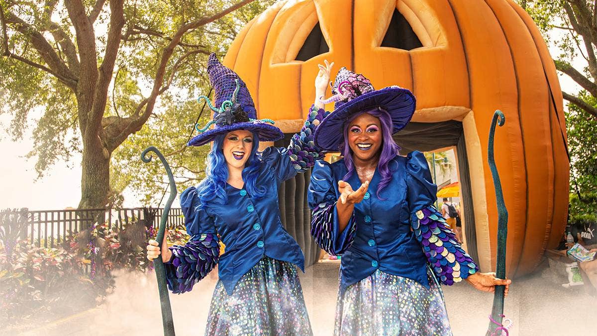 SeaWorld Halloween Spooktacular Orlando 2024 InDepth Guide