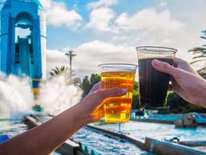 Seaworld San Diego Craft Beer Festival: 2023 Guide