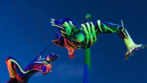 SeaWorld San Diego Electric Ocean: 2023 Festival Guide