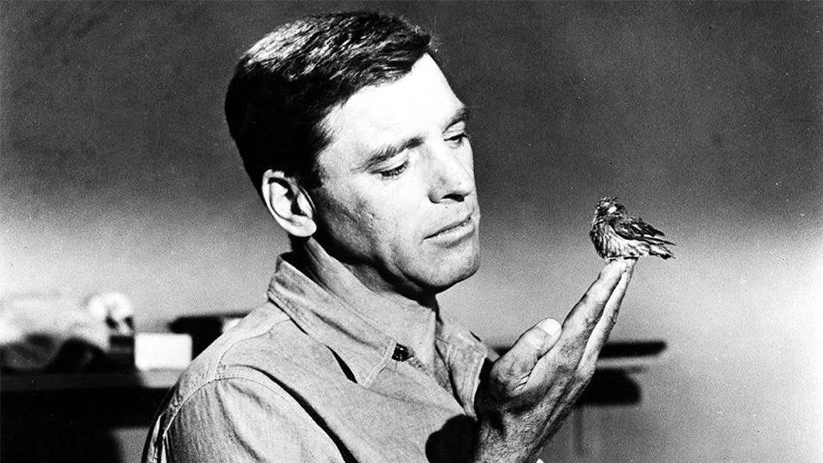 Close up of Burt Lancaster with a bird on his fingers from the movie The Birdman of Alcatraz near San Francisco, California, USA