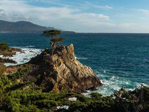 Top 5 Scenic Drives to Take Around the San Francisco Bay Area