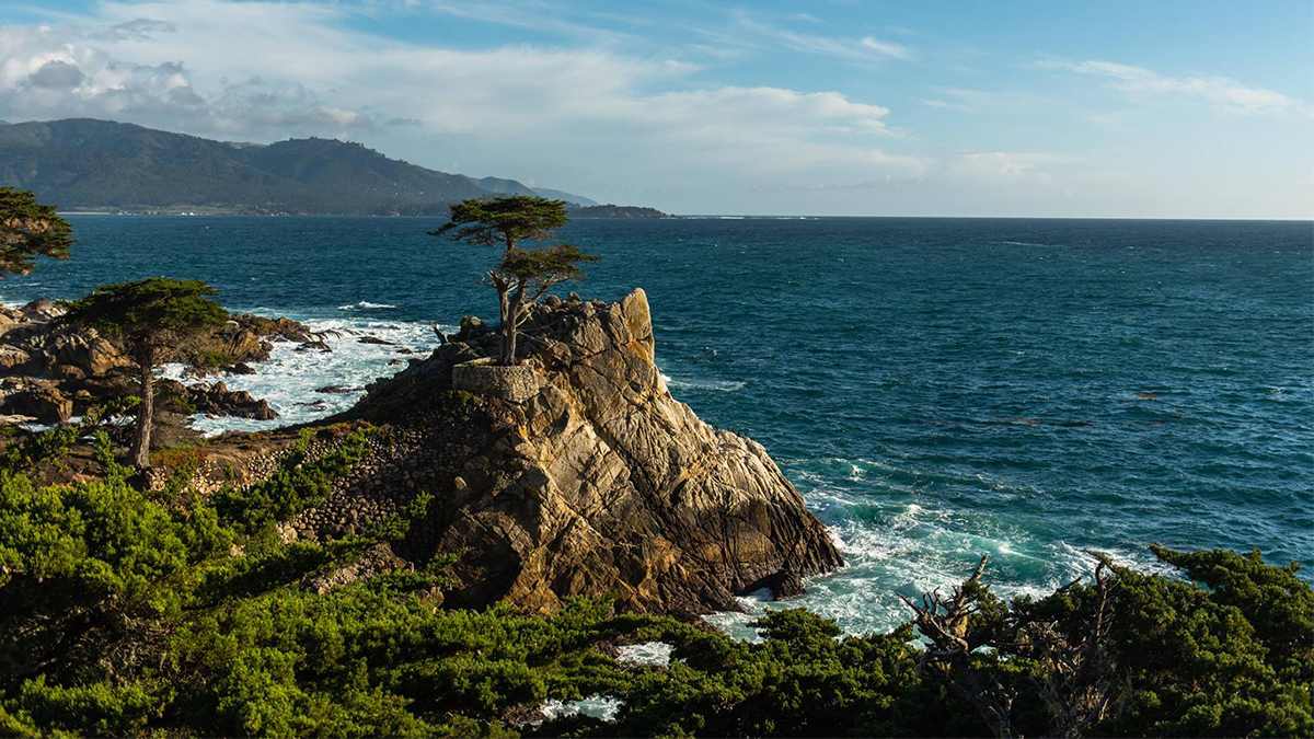 Wide shot of the Lone Cypress with a deep blue ocean below it on a sunny day in San Francisco, California, USA