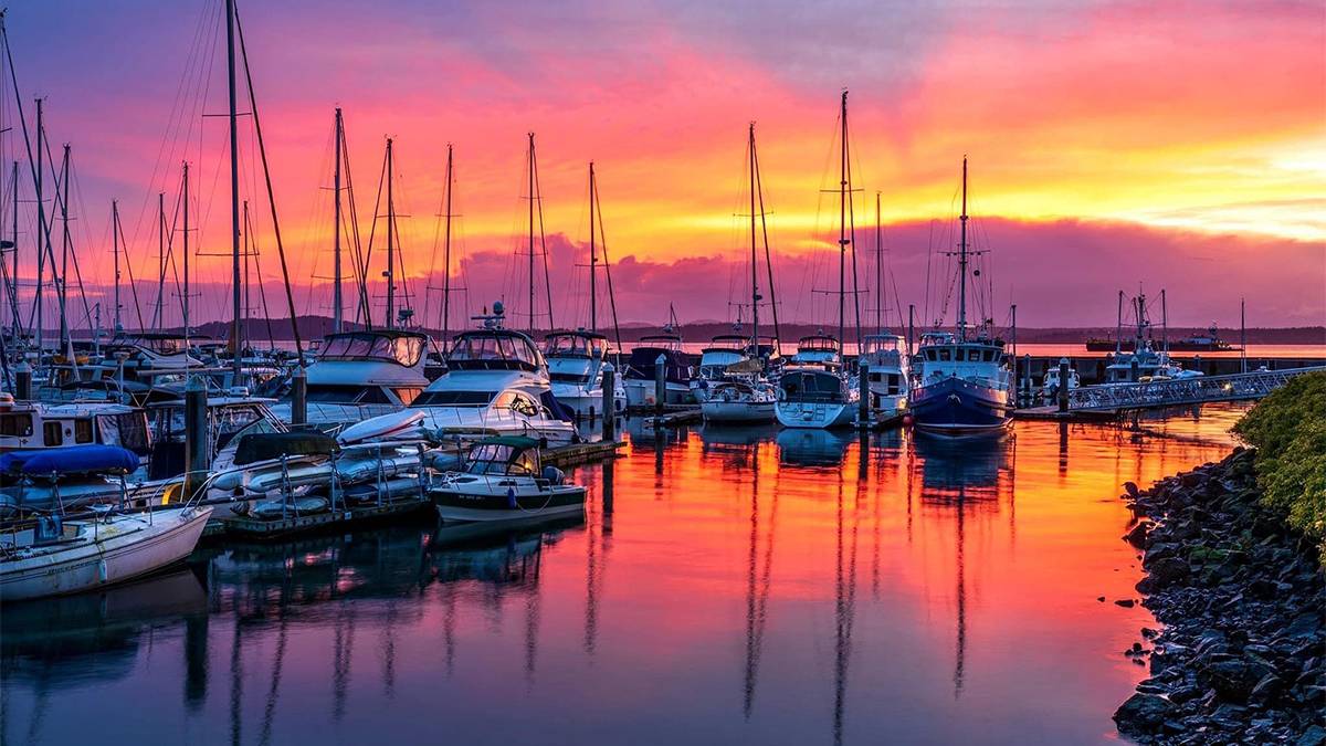 View of Elliott Bay full of boats with a bright pin sunset behind it in Seattle, Washington, USA