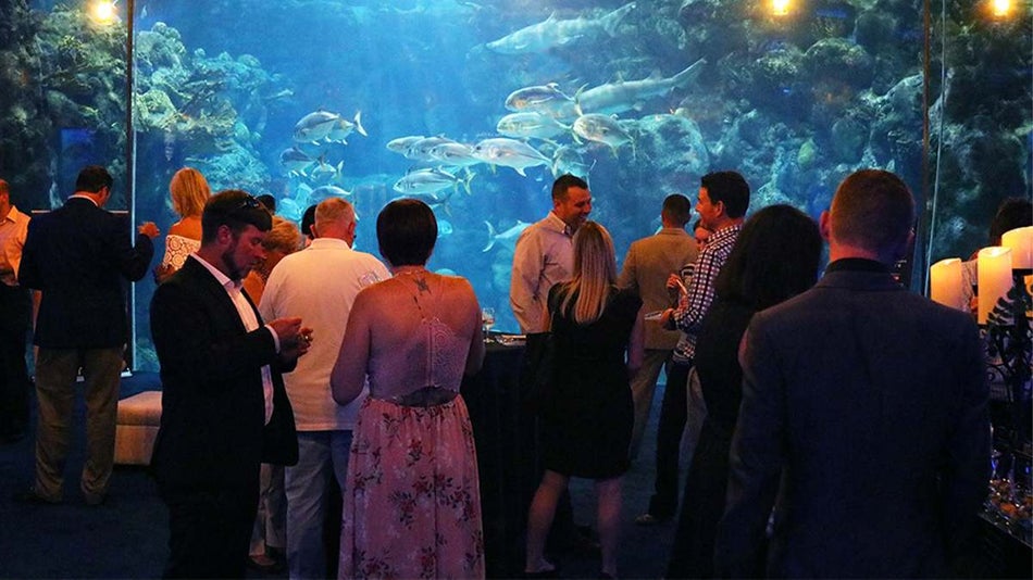 A section of The Florida Aquarium filled with people at an event with a large tank full of active fish behind them in Tampa, Florida, USA