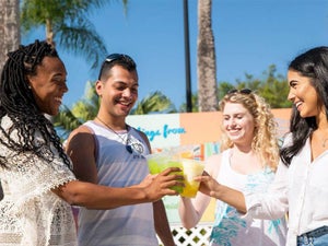 Tampa Adventure Island﻿ - Your 2023 Insider's Guide