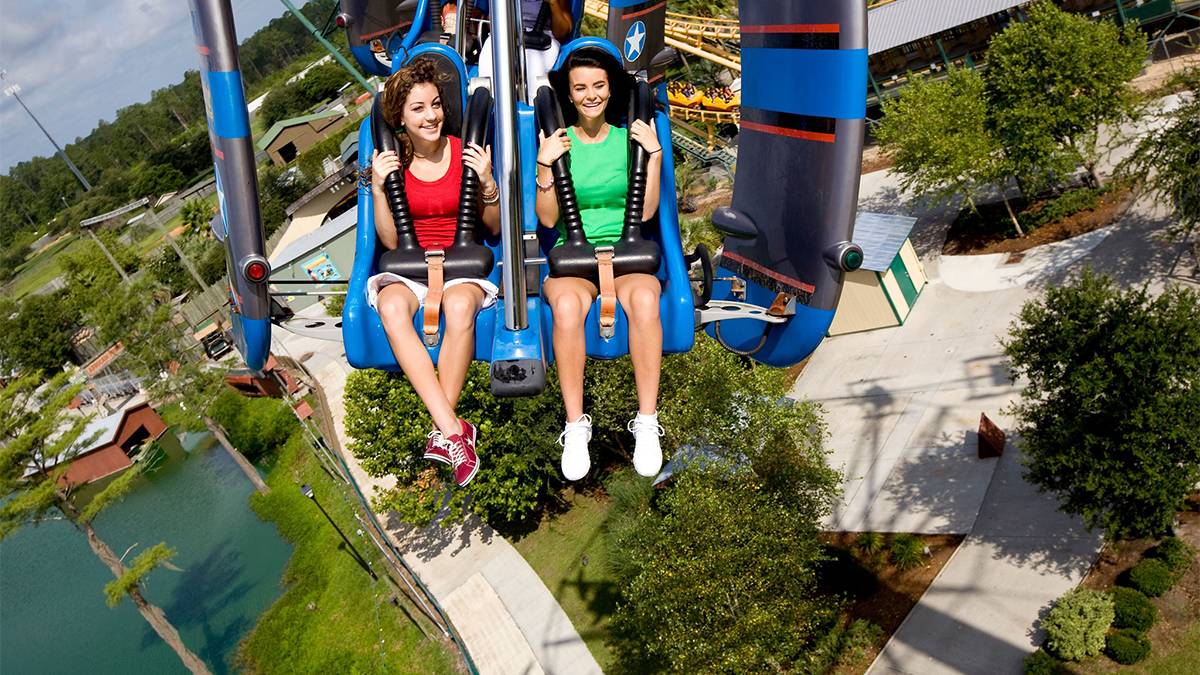 My Wild Adventure at Busch Gardens Tampa - Tripster Travel Guide