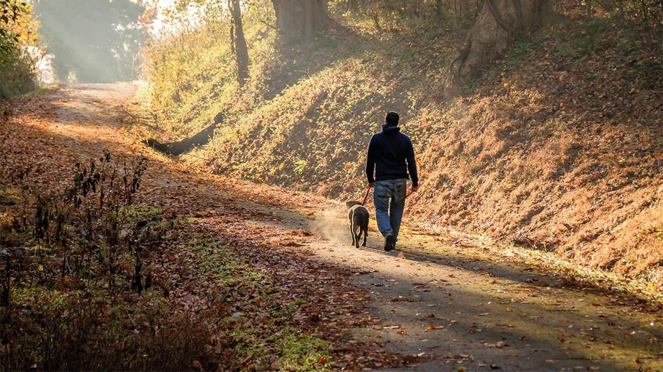 Man and his dog walking up a path in the fall with trees and leave around him at False Cape State Park near Virginia Beach, Virginia, USA